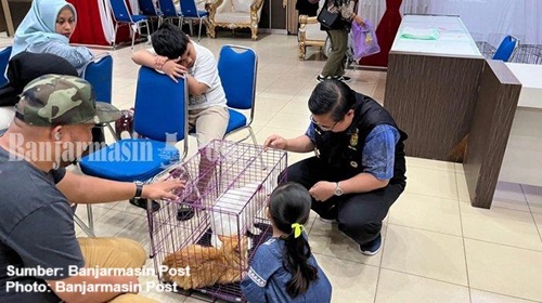 sterilisasi kucing gratis di banjarmasin